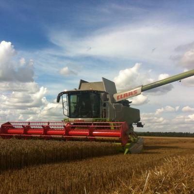 Agri cereales betteraves luzerne                                                   Eleveur de lombrics.                                               Nord MARNE