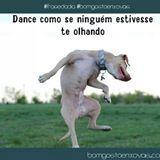 somosloucospet's profile picture. 