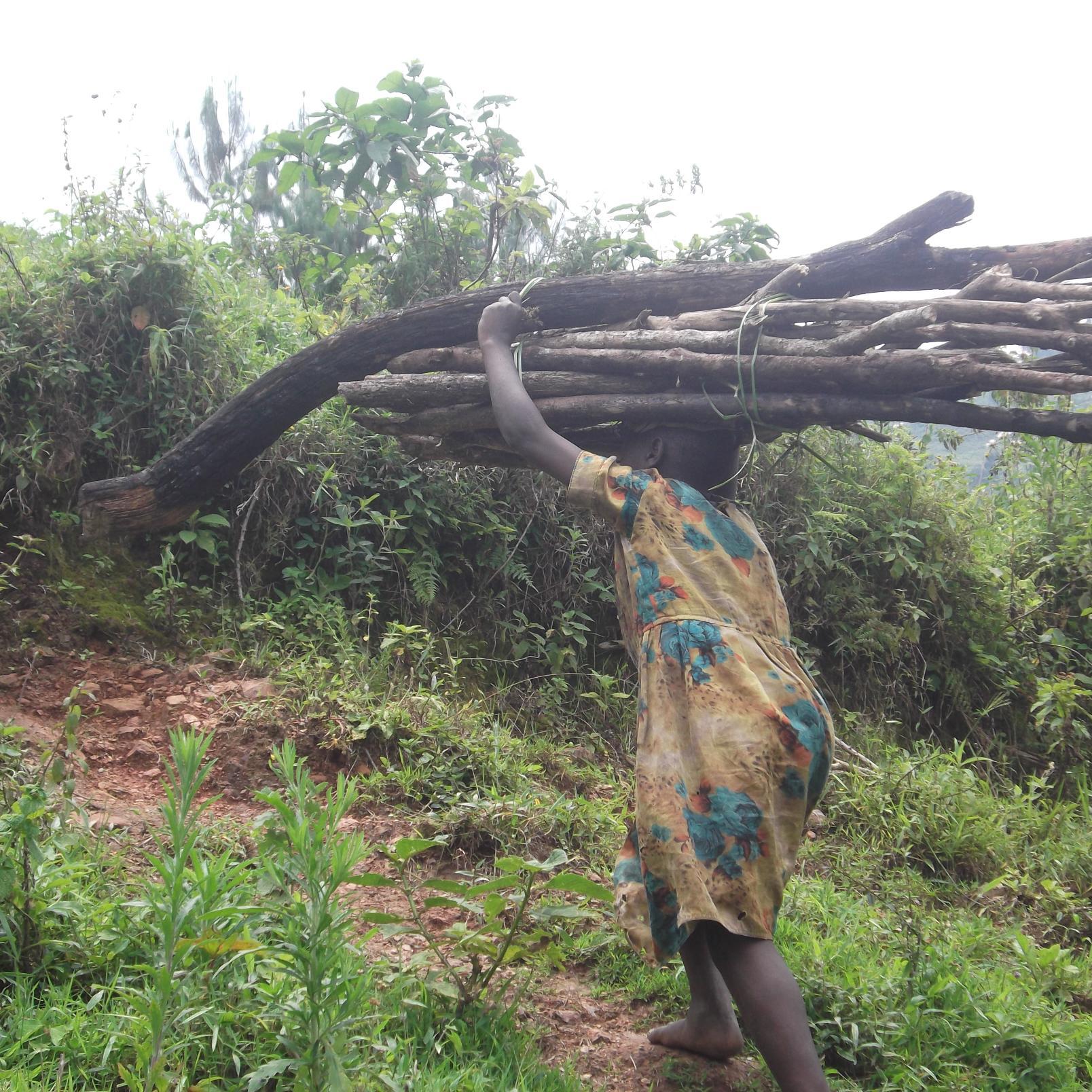 IRUCE2015's profile picture. Integrated Rural Community Empowerment (IRUCE) has a mind set on incorporating community roles  to engage in activities that help them attain sustainable dev,t.