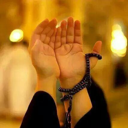 ShaujdA's profile picture. {I am  muslim}