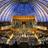 tonhalle_d's profile image