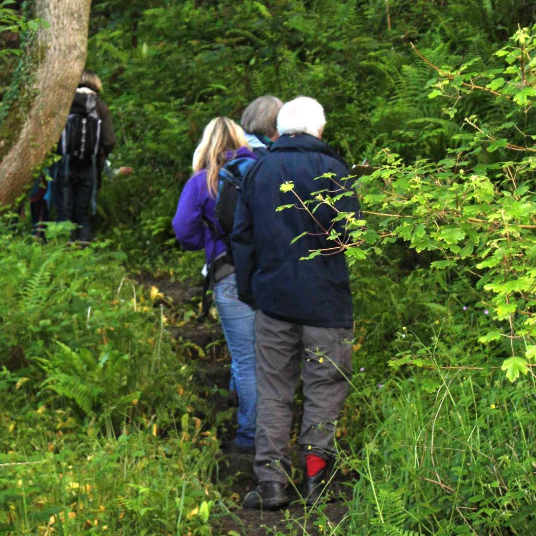 Cynefin partnership project funded by HLF.