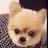 mikiyo23's profile image