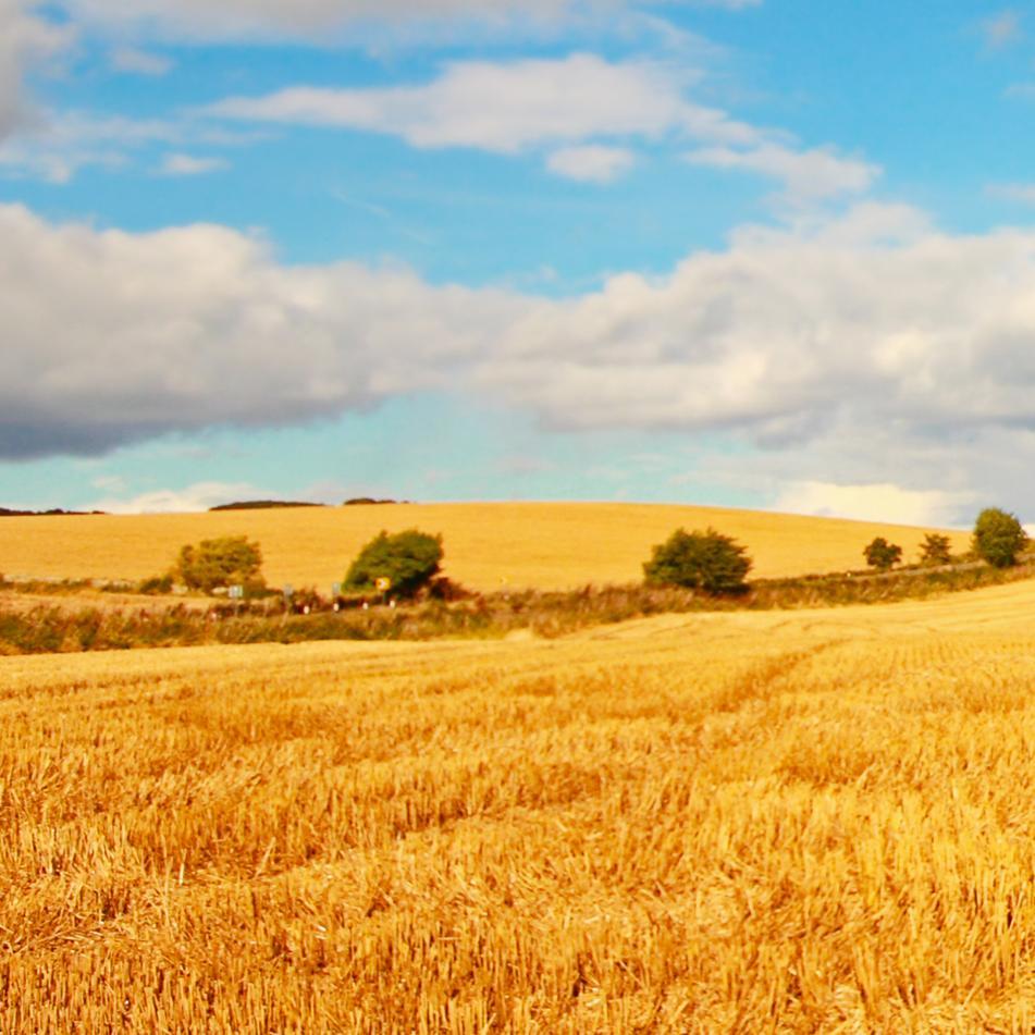 Freelance photographer focused mostly on travel and creative images for book covers. I have a growing library of stock images of Scotland and more.