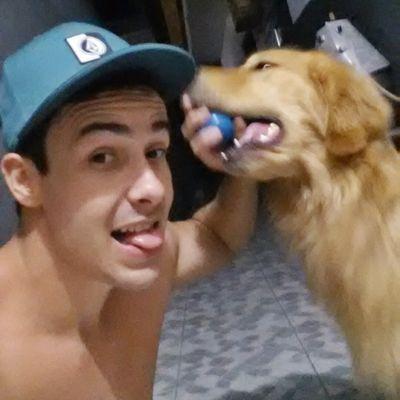 Rodrigo03787111's profile picture. 