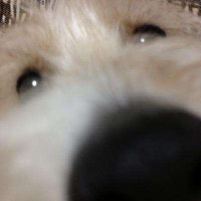 B'zとNissyは生活必需品 無益なツイート10割
