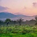 Manuela MANNING - @kirsche2905 - Twitter