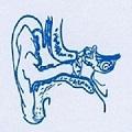 GRUPPO OTOLOGICO (@gruppootologico) 's Twitter Profile