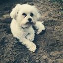 Susan Enos - @susan_enos - Twitter