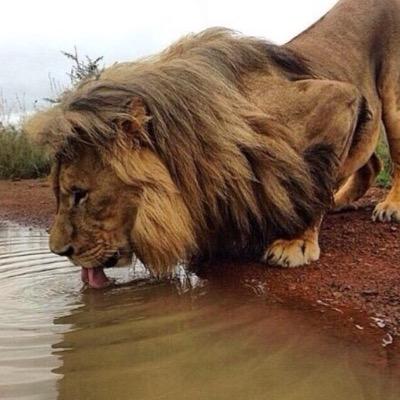 ‏استغفر الله