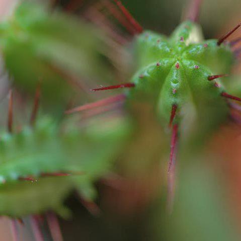 Web, photo, vidéo