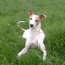 Mark Magill - @Markmagill6Mark - Twitter