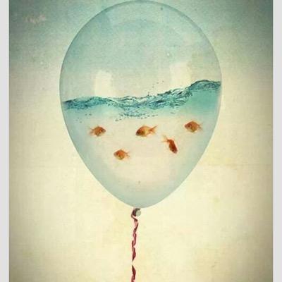 REteacherNE's profile picture. 