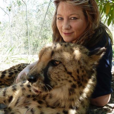 Im Tiger, an Aussie chick who ❤️ animals, especially tigers, lions & other big cat species. Kuma-Lion Dog & I are passionate about saving endangered species