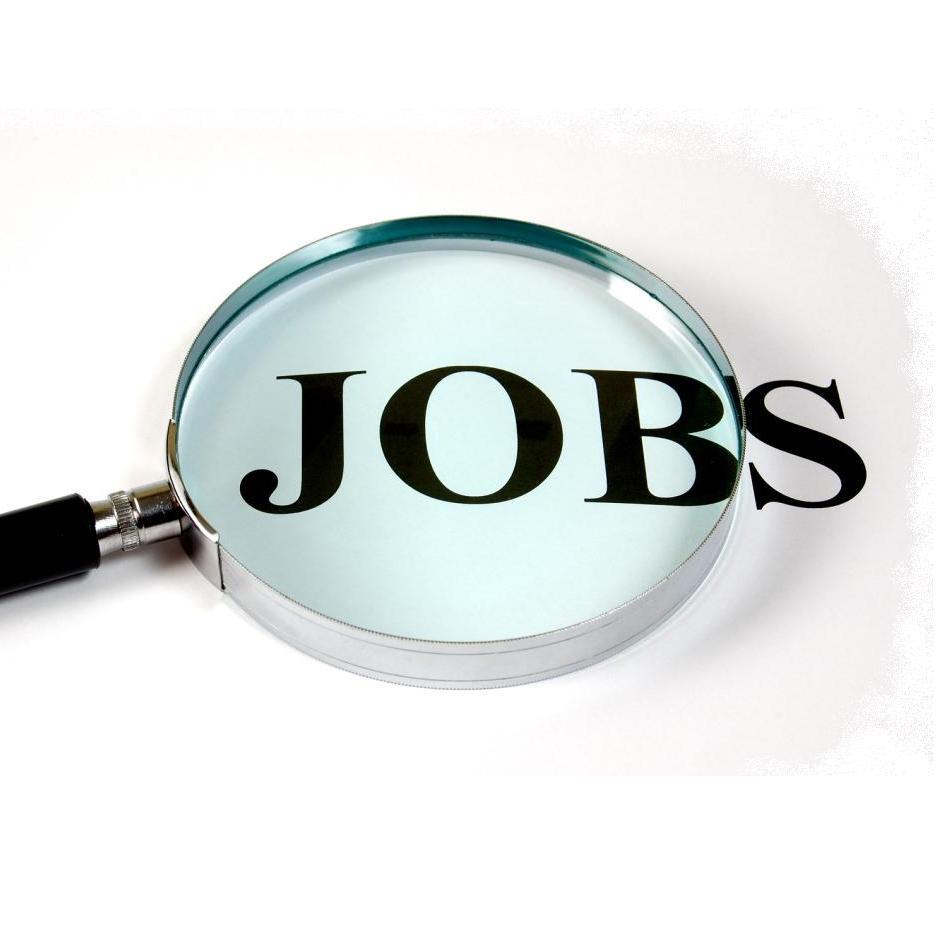 Latest Marketing Roles - Best Network Recruitment