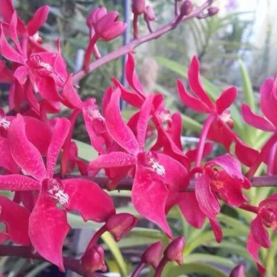 LinaZA72's profile picture. 