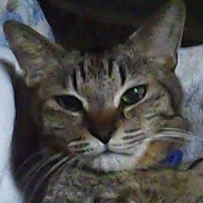 keico_k5's profile picture. TM NETWORK、小室哲哉氏に超絶な影響を受け数十年。YMOはじめシンセを取り入れた音楽、V系、SMAPもLOVE。洋楽全般も好き。特にBruno Mars、Michael JacksonはLOVE♡