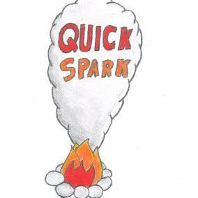 We are a TY Mini Business with a Fire Starting Kit. If your interested email us at Quicksparkty@gmail.com