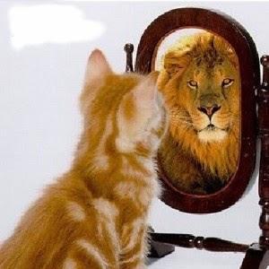 Sansara8A's profile picture. Estudiante de Criminología