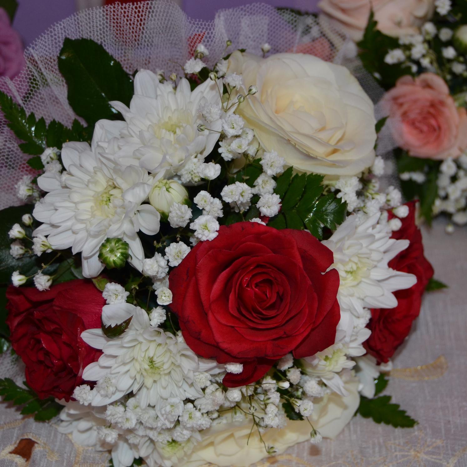 MarianBalaban's profile picture. 