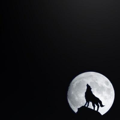 高2の未熟者でのんびり更新中。筆記中→『涙の羽~金と銀に輝く月のもとで~』主にiランドで活動中。野いちごなどでも活動中(あまり更新できてないです)気になった方はフォロミー。http://t.co/llTNa5PMA9