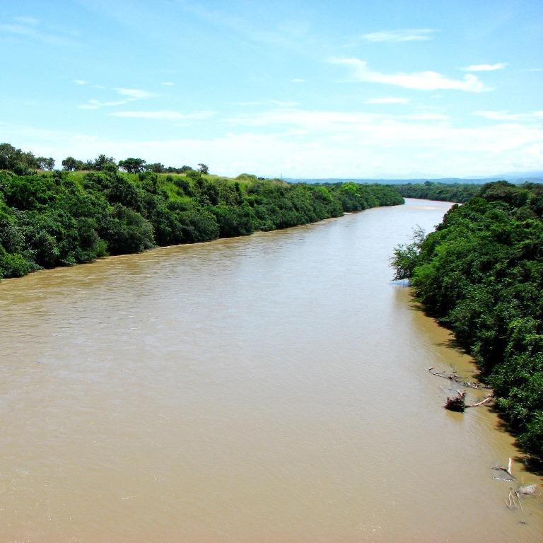 salvemosalriom's profile picture. 