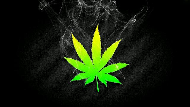 Just a kid✗ who loves HERB♥ Weed Tweets ✗Ơ press that follow button for more Tweets