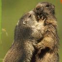 Lise Charles - @Lise_Charles3 - Twitter