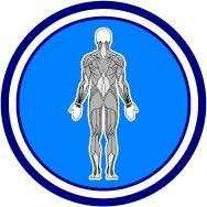 fysiovanmierlo's profile picture. Fysiotherapie van Mierlo