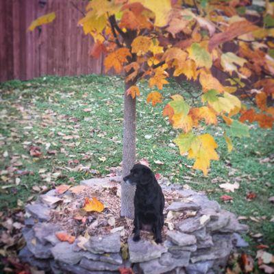 RWiksell Profile Picture