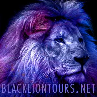 BlackLionTours's profile picture. We promote authors that want to make their work known, hosting a several-days online event with scheduled promotional posts and reviews.