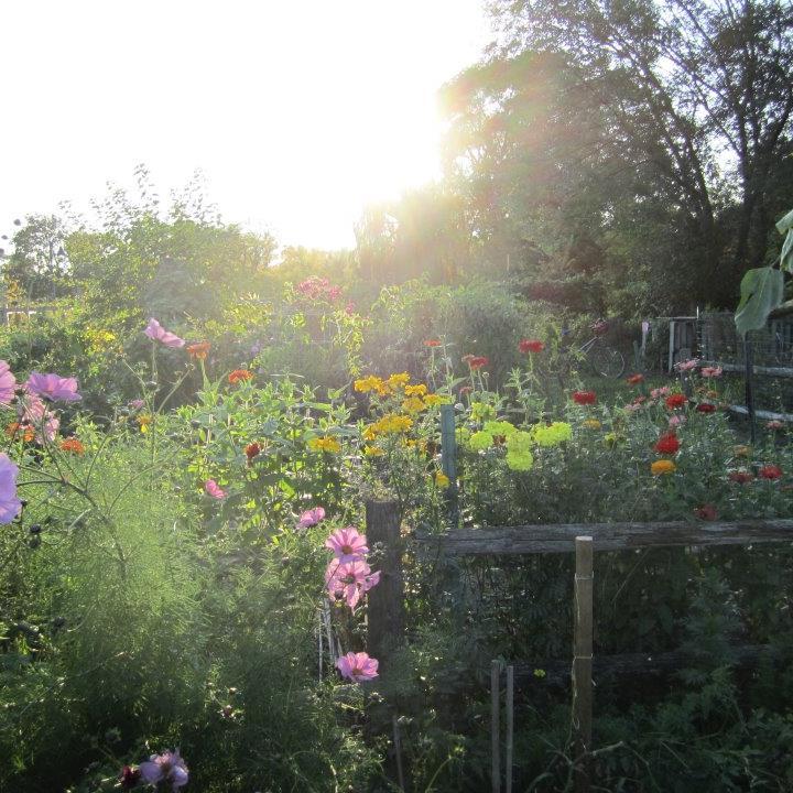 kelweikel's profile picture. 