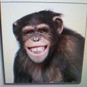 Kim Wake - @wake_kim - Twitter