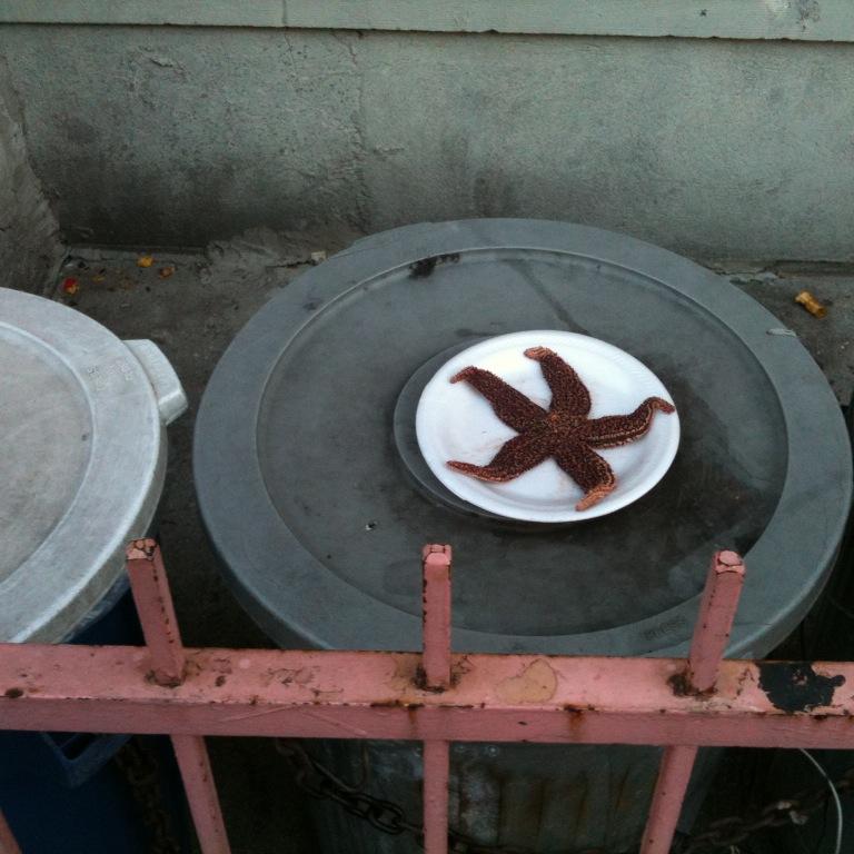 kamchatka_rsk's profile picture. 