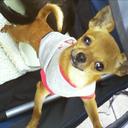 Bobbie Thompson - @rehabbobbie - Twitter