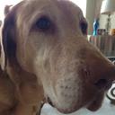 Colleen Gold - @Colleen_sez - Twitter