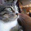 Daniel Risinger - @d_risinger - Twitter