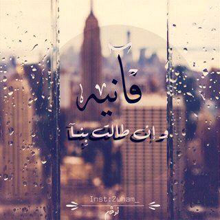 safa