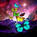 Anna Notaro - @0644303ab1f9461 - Twitter