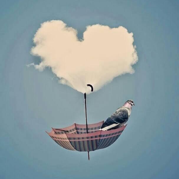 TechMedical's profile picture. 