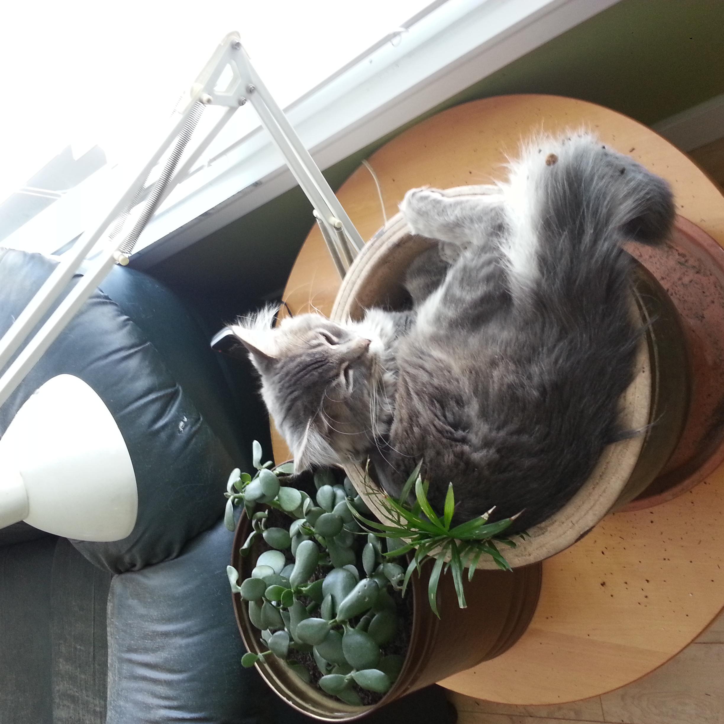 Tupperpad's profile picture. I love being an entrepreneur . Let me add some spark to your life!