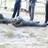 heber_texcoco's profile image