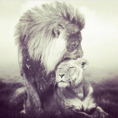 ‏‏شعر میگم،شعر!