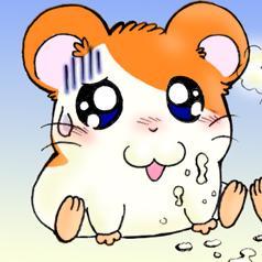 鬱になりそうwハム太郎 ぜんぜん眠れなくて ためしにナースちゃんに貰った睡眠薬を飲んで寝て起きたらこんな時間なのだ もうぼくが ねてるくんで良い気がしてきたのだ とっとこねてるくんに改名なのだ とっとこねてるって意味が分からないのだ