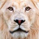 Wilbert Reese Sr. (@025613) Twitter