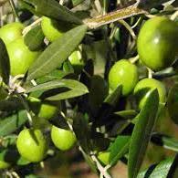 BriBBors (@bribbors) Twitter profile photo