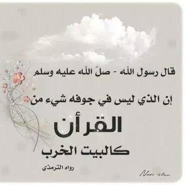 lama2013hh's profile picture. 