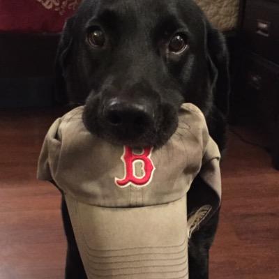 msavard's profile picture. 