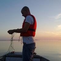 Sami Kääriäinen (@skaerde) 's Twitter Profile