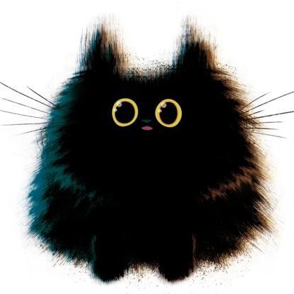 kotemot's profile picture. 